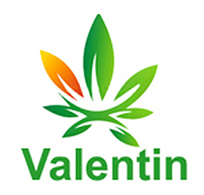 Valentin Logo